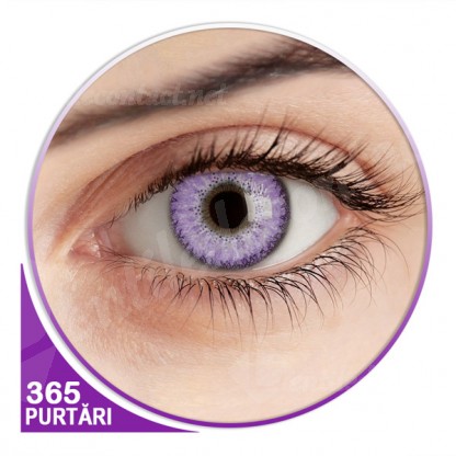lentile contact violet fay